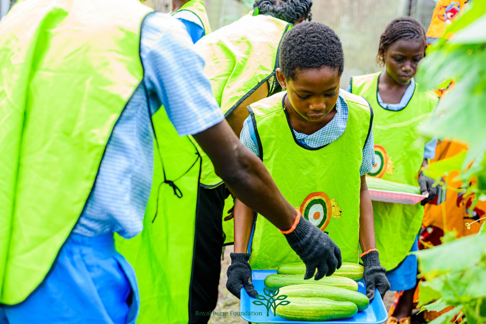 STEM lab participants