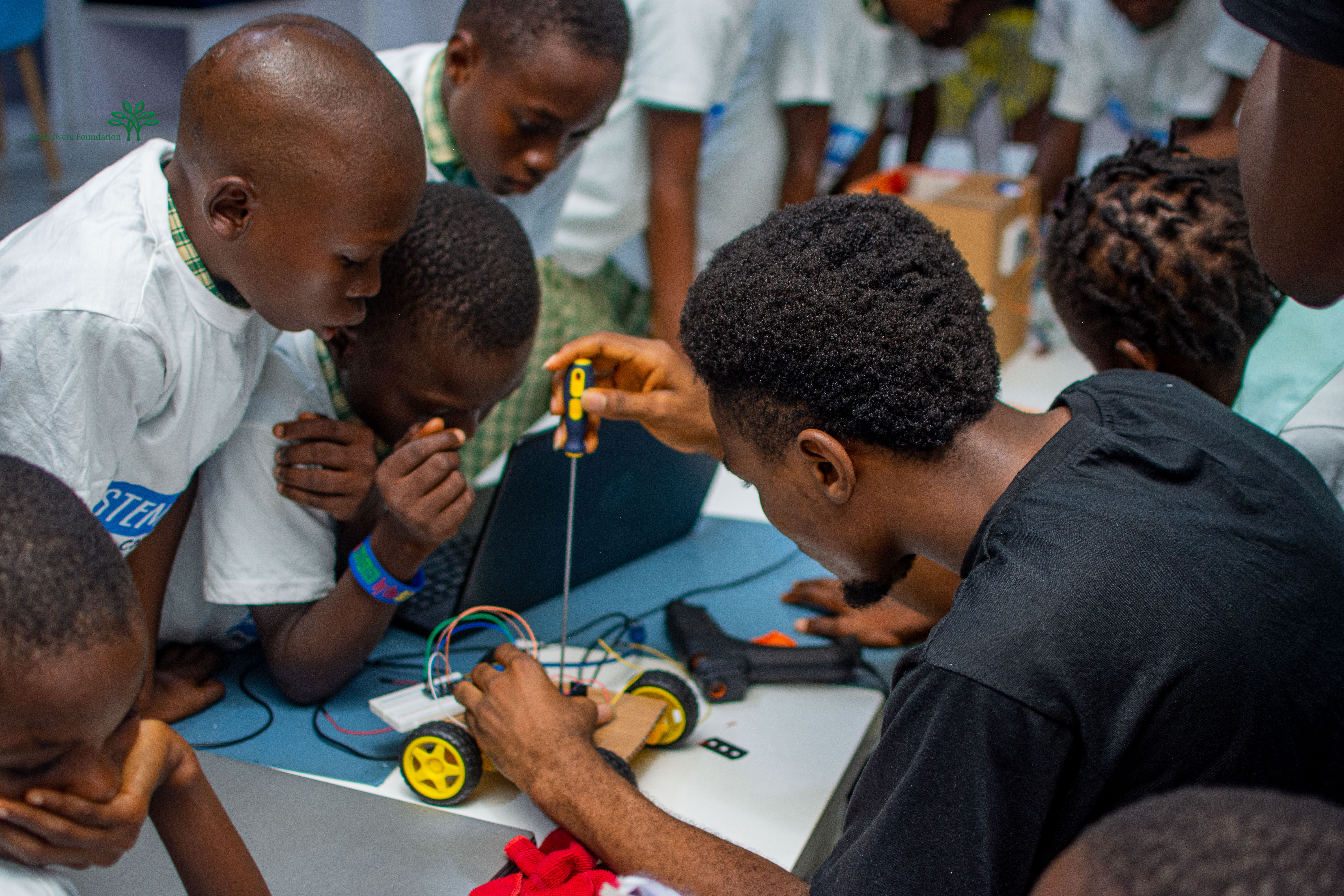 Royal Iwere Foundation mission